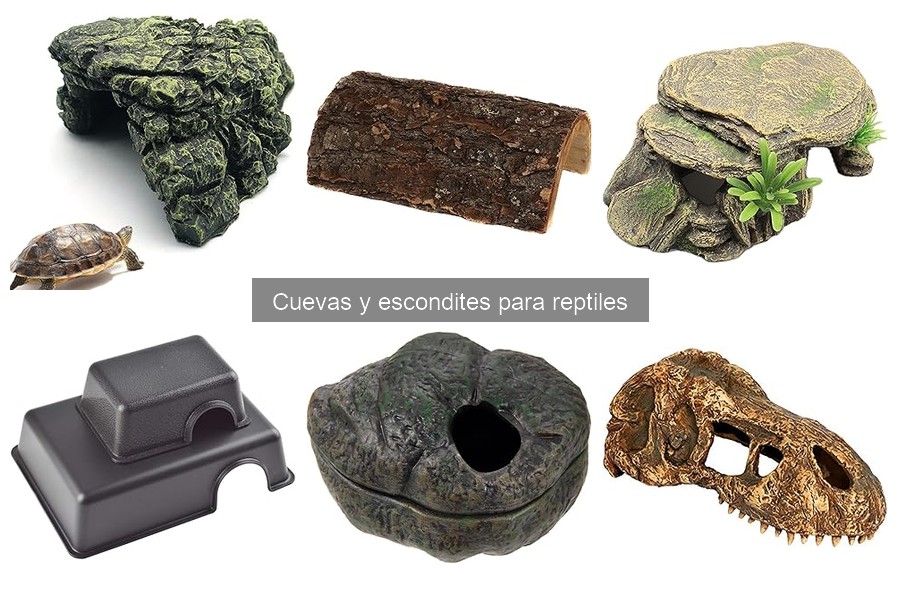 Cómo instalar cuevas y escondites para reptiles fácilmente