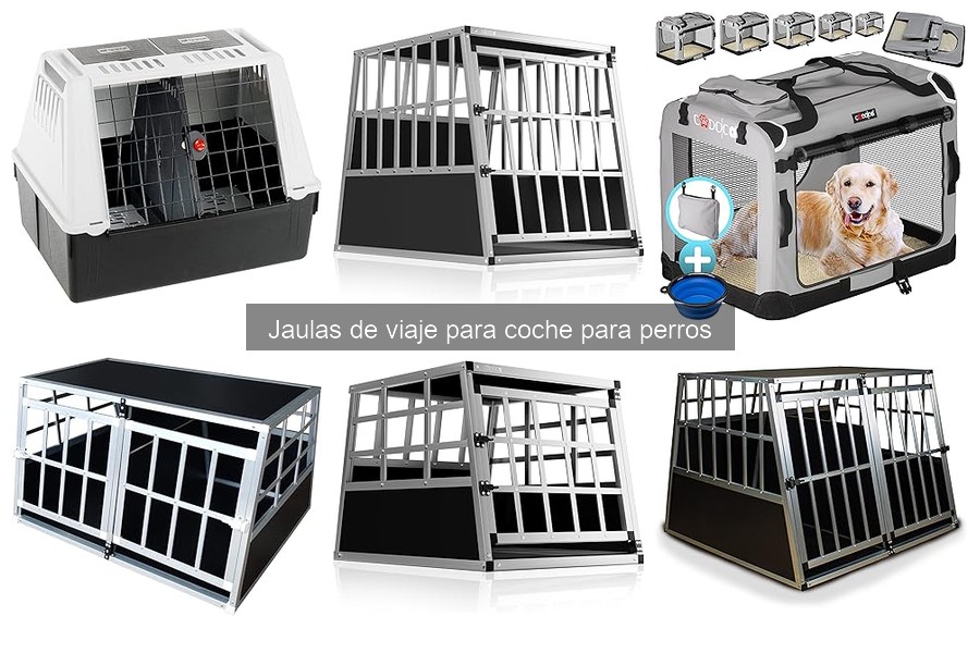 Cómo instalar jaulas de viaje para coche en 5 pasos