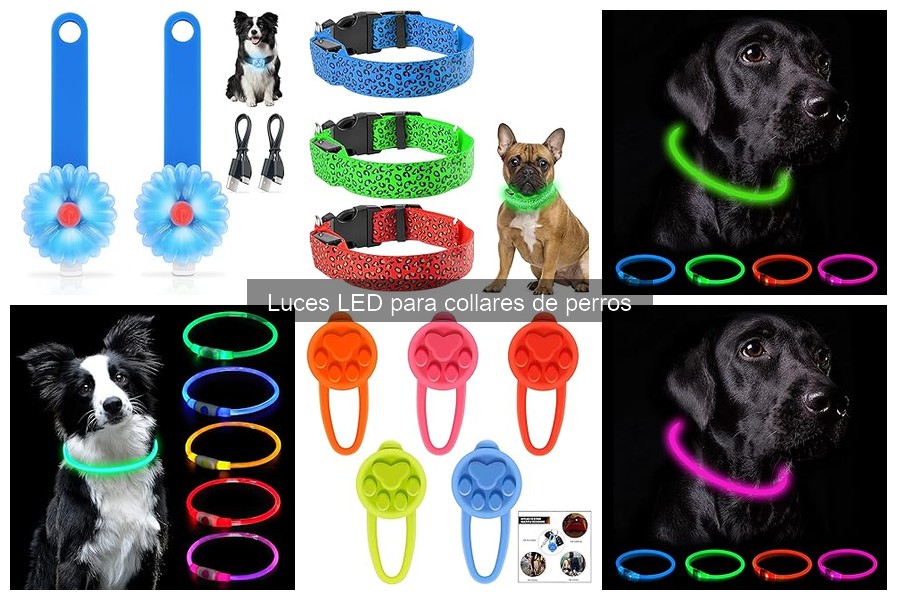 Cómo instalar luces LED en collares de perros fácilmente