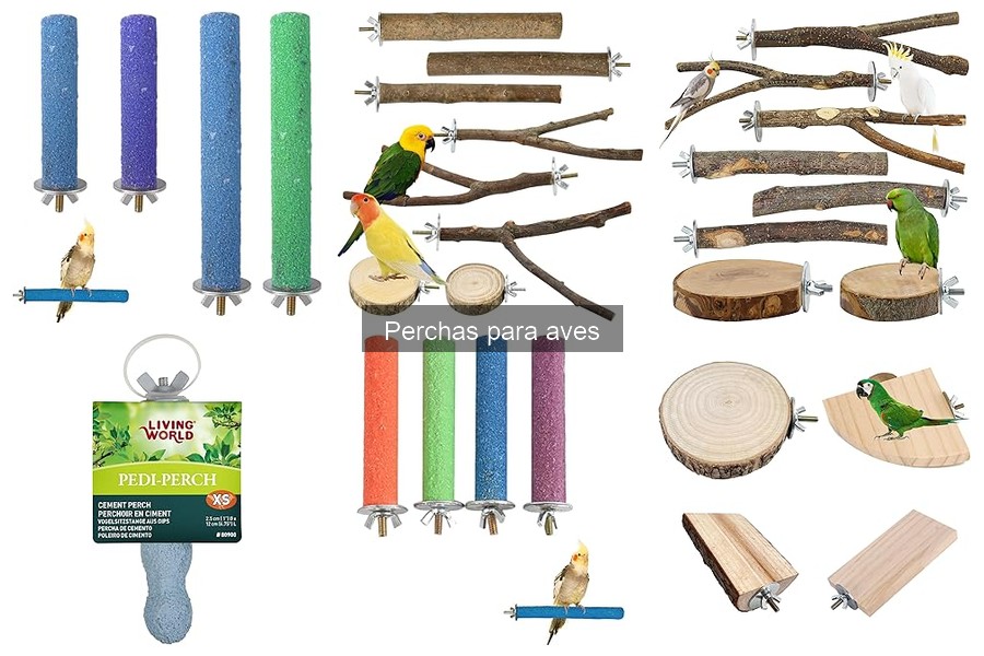 Cómo instalar perchas para aves de forma segura y fácil