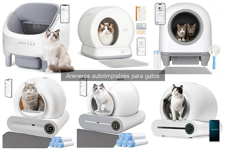 Cómo instalar un arenero autolimpante para gatos fácilmente