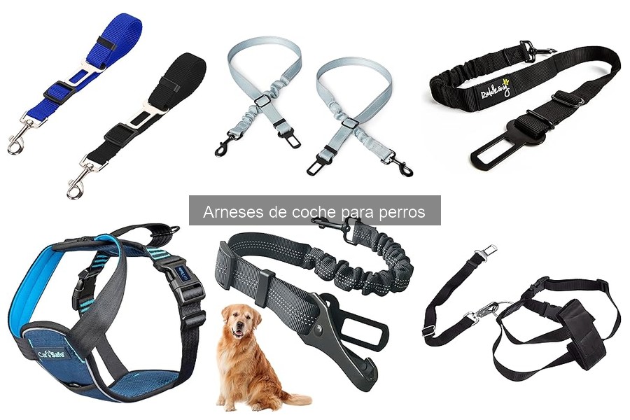 Cómo instalar un arnés de coche para perros fácilmente