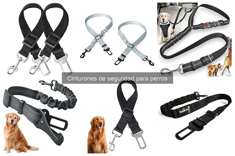 Cómo instalar un cinturón de seguridad para perros correctamente
