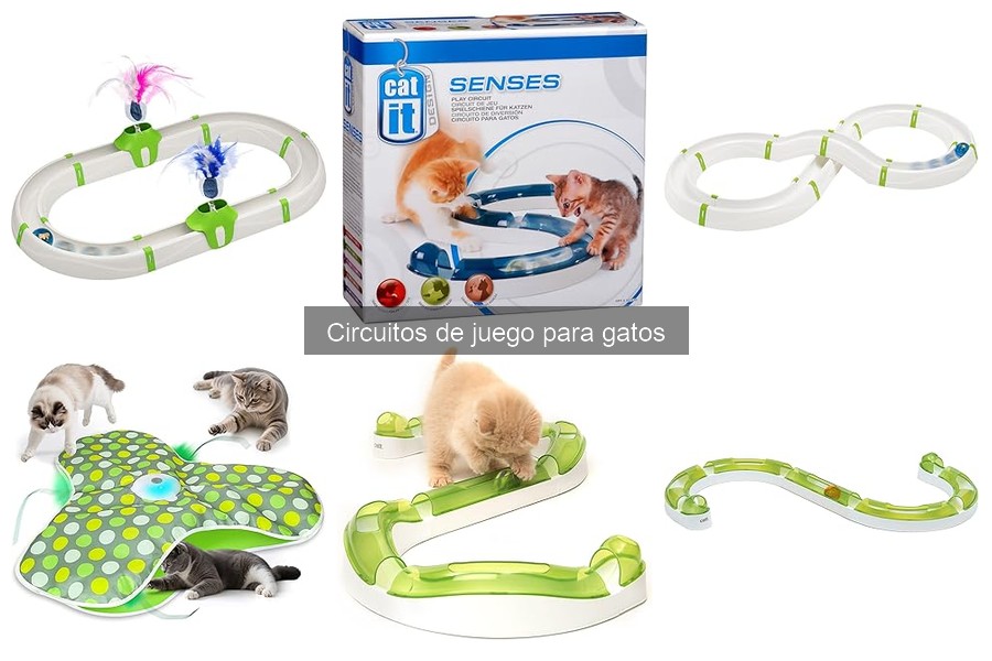 Cómo instalar un circuito de juego para gatos fácilmente
