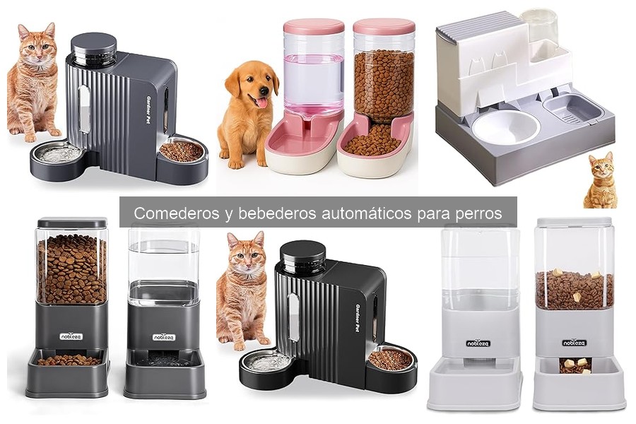 Cómo instalar un comedero automático para perros fácilmente