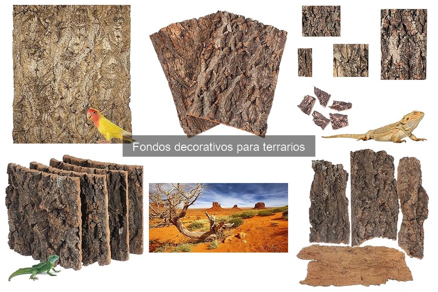 Cómo instalar un fondo decorativo en tu terrario