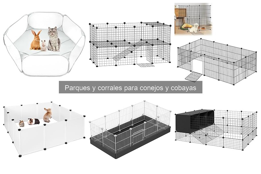 Cómo instalar un parque para conejos: guía práctica