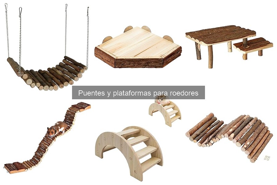 Cómo Instalar un Puente para Roedores en Su Jaula