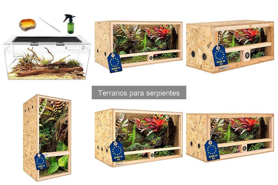 Cómo instalar un terrario para serpientes fácilmente