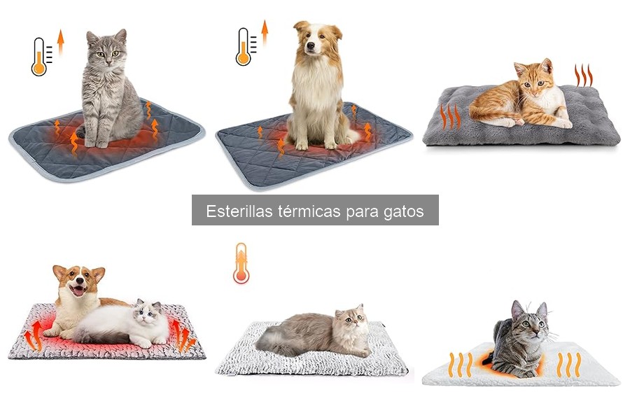 Cómo instalar una esterilla térmica para gatos fácilmente
