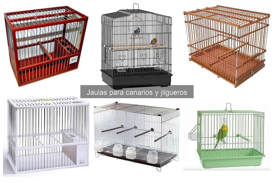 Cómo Instalar una Jaula para Canarios Correctamente