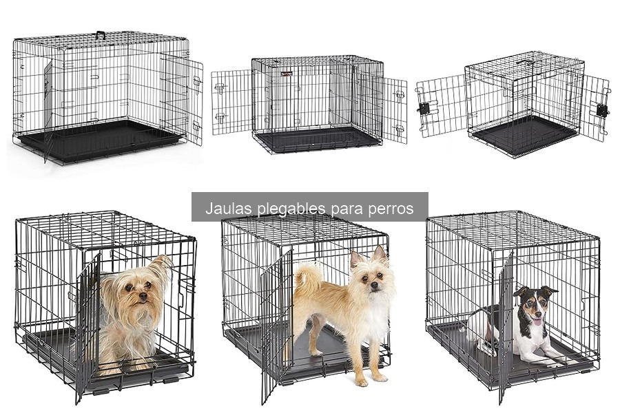Cómo instalar una jaula plegable para perros fácilmente