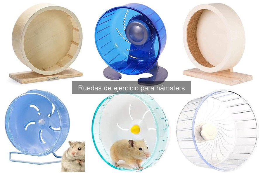 Cómo instalar una rueda de ejercicio para hámsters