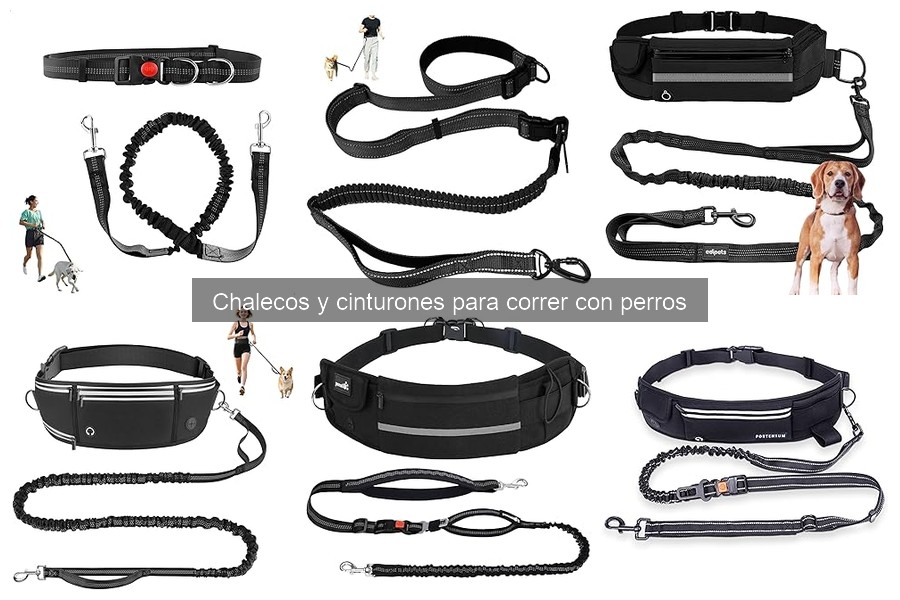 Cómo instalar y ajustar chalecos para correr con perros