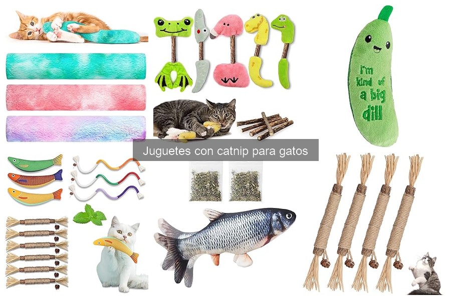 Cómo introducir a tu gato al catnip fácilmente
