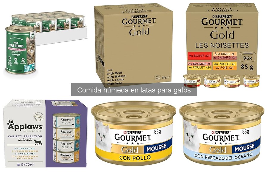 Cómo Introducir Comida Húmeda enlatada en la Dieta de tu Gato