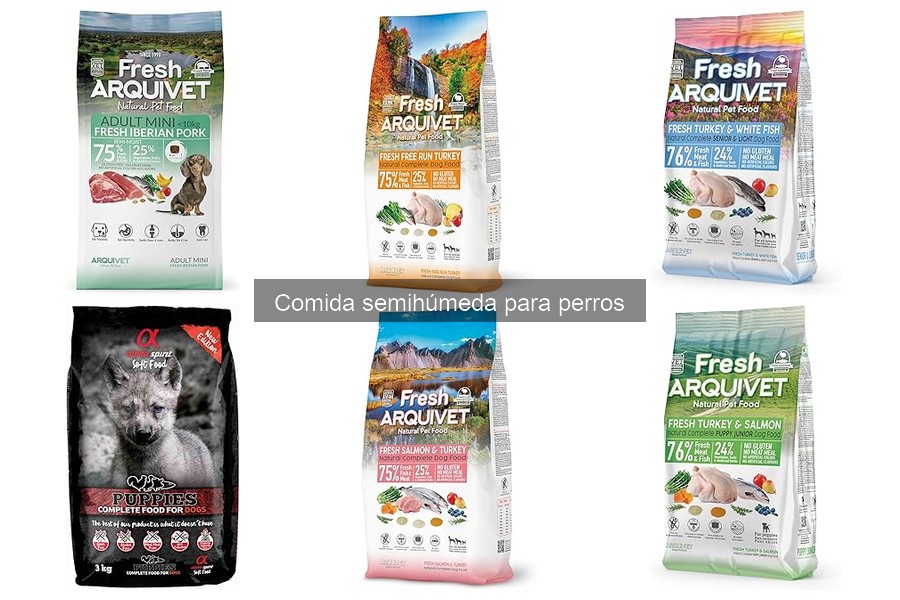 Cómo introducir comida semihúmeda en la dieta de tu perro