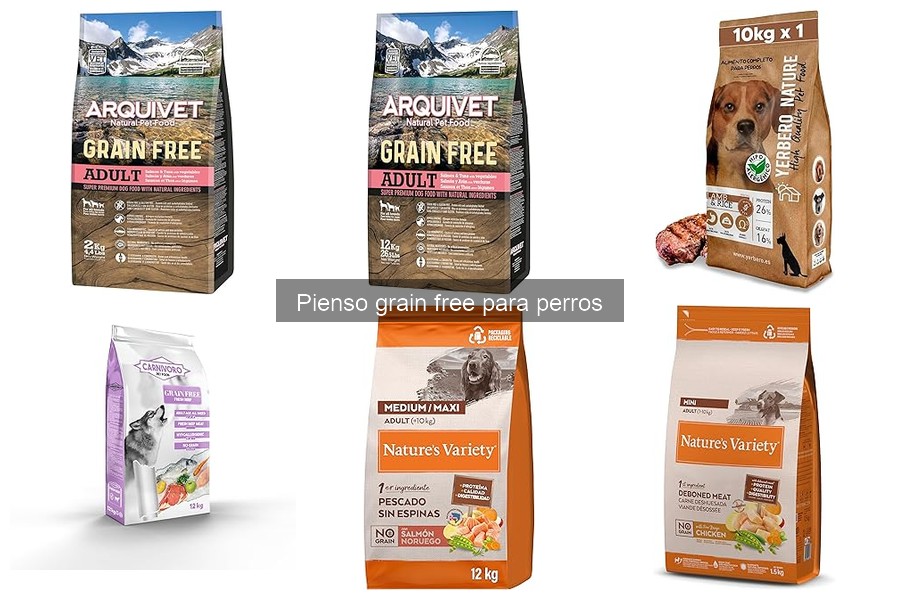 Cómo Introducir el Pienso Grain Free en la Dieta de tu Perro
