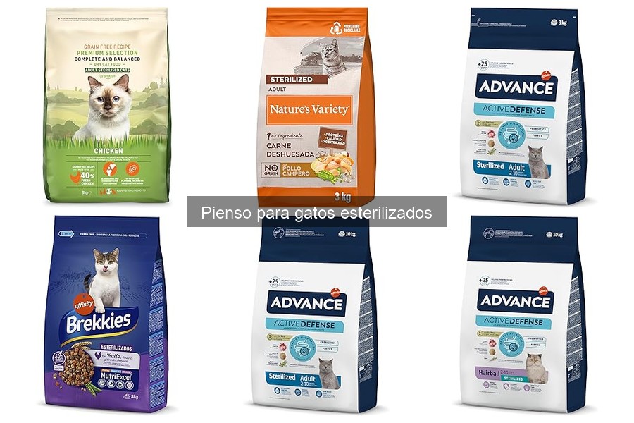 Cómo introducir el pienso para gatos esterilizados fácilmente