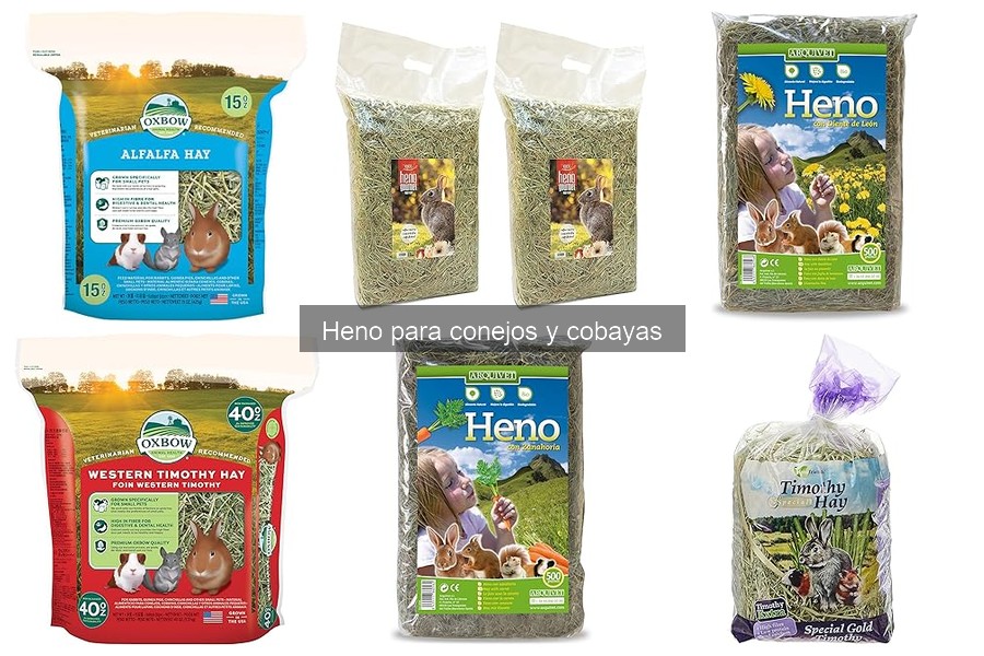 Cómo introducir heno en la dieta de conejos y cobayas