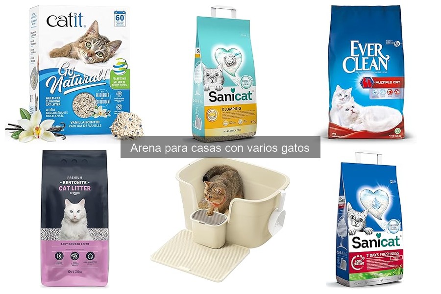 Cómo introducir nueva arena para gatos sin estrés