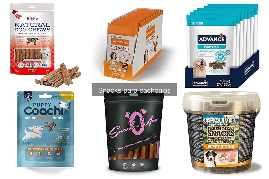 Cómo introducir nuevos snacks para cachorros sin problemas