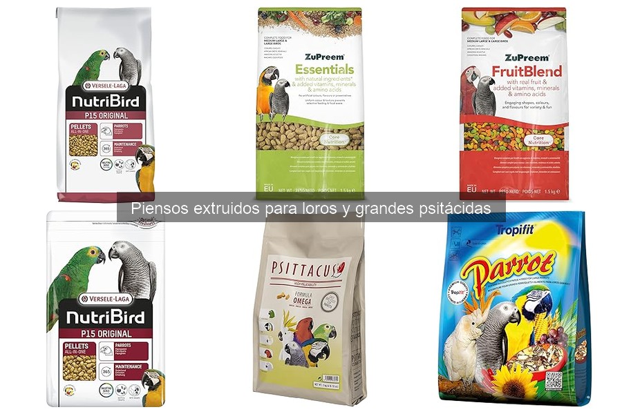 Cómo introducir pienso extruido en la dieta de tu loro