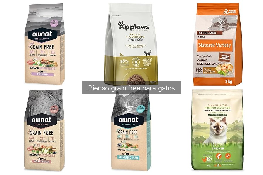 Cómo introducir pienso grain free en la dieta de tu gato