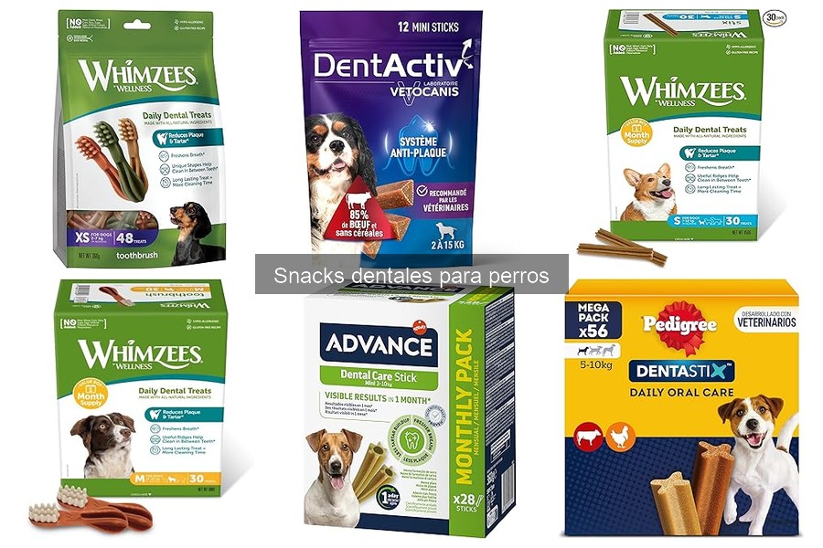 Cómo Introducir Snacks Dentales en la Dieta de Tu Perro