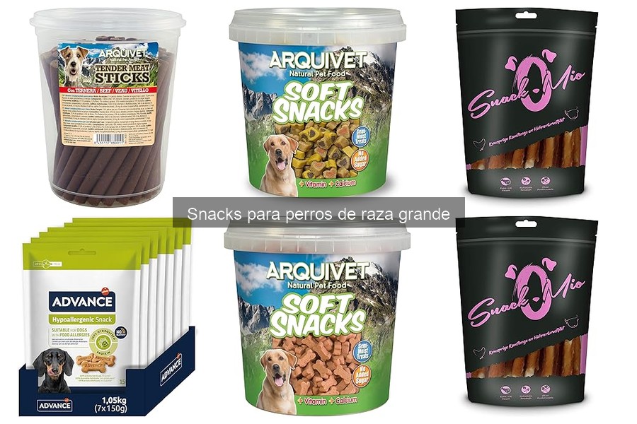 Cómo introducir snacks nuevos a perros de raza grande