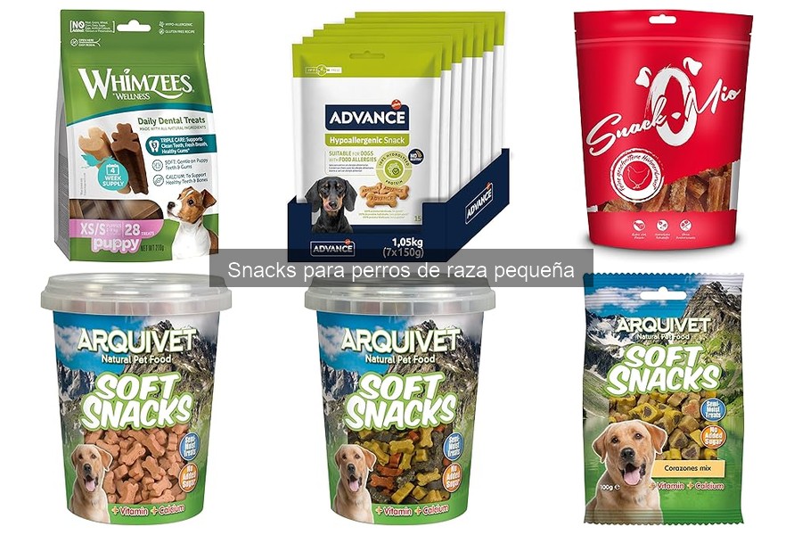 Cómo Introducir Snacks Nuevos a Perros de Raza Pequeña