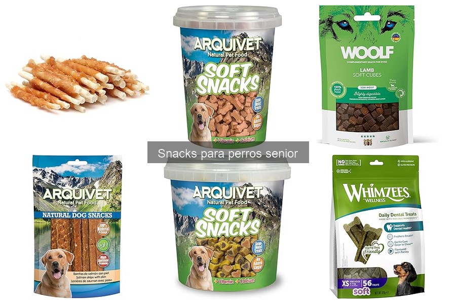 Cómo introducir snacks para perros senior sin problemas