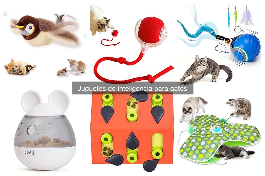 Cómo Introducir un Juguete de Inteligencia a tu Gato