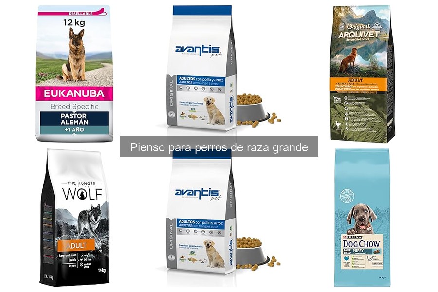 Cómo introducir un nuevo pienso para perros grandes