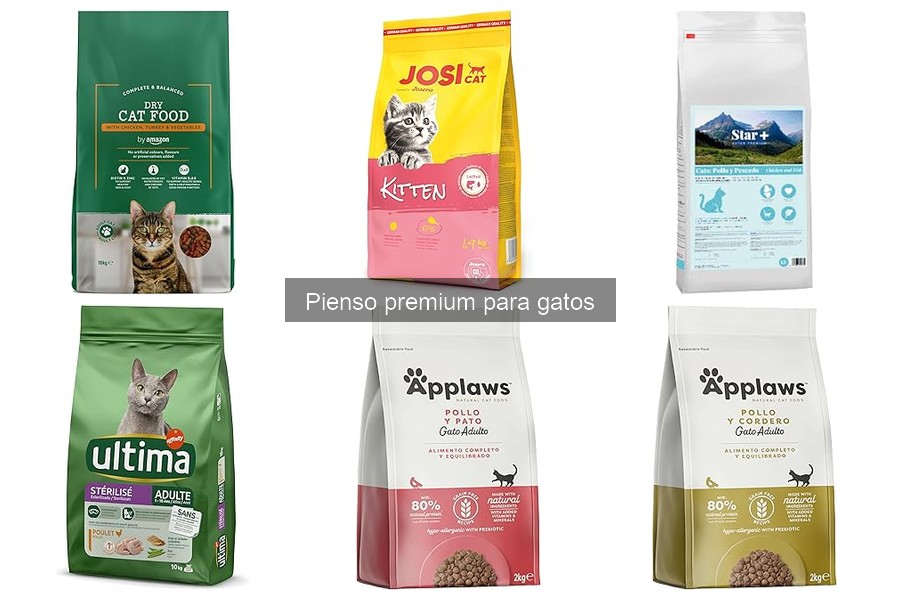 Cómo introducir un nuevo pienso premium para gatos