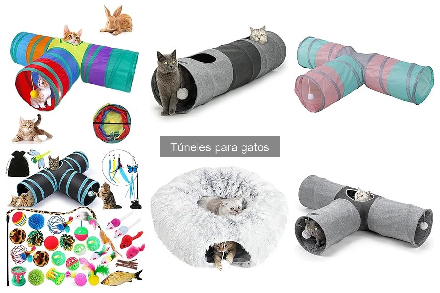 Cómo introducir un túnel a tu gato: consejos prácticos