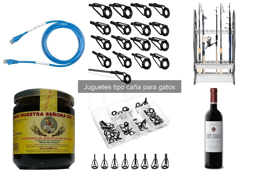 Cómo jugar con tu gato usando juguetes tipo caña