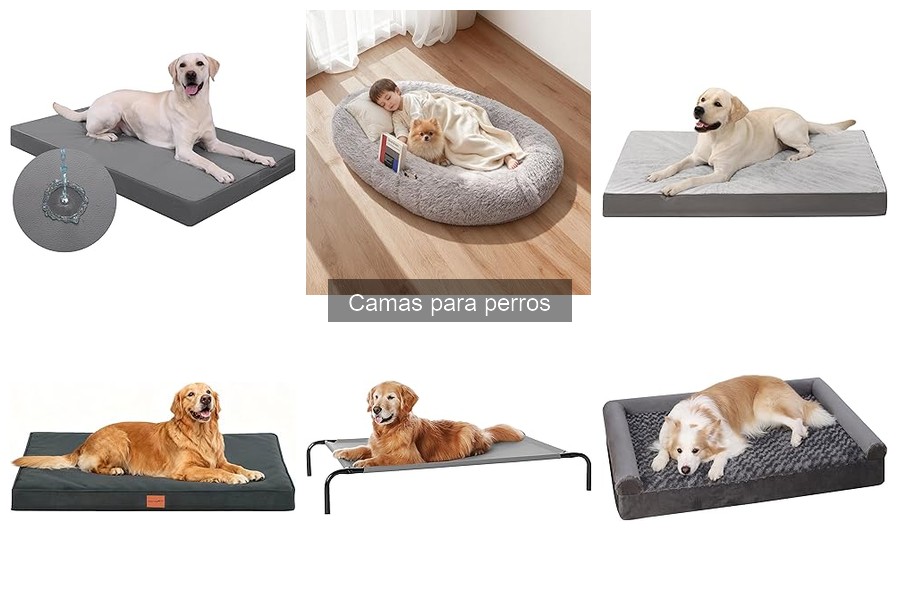 Cómo la cama del perro influye en su salud y bienestar