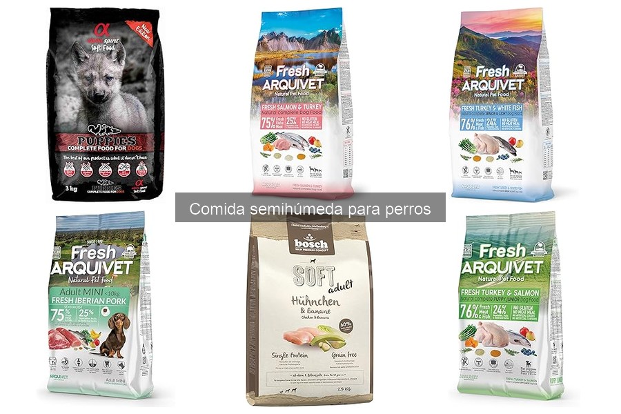 Cómo la comida semihúmeda afecta la salud dental de tu perro