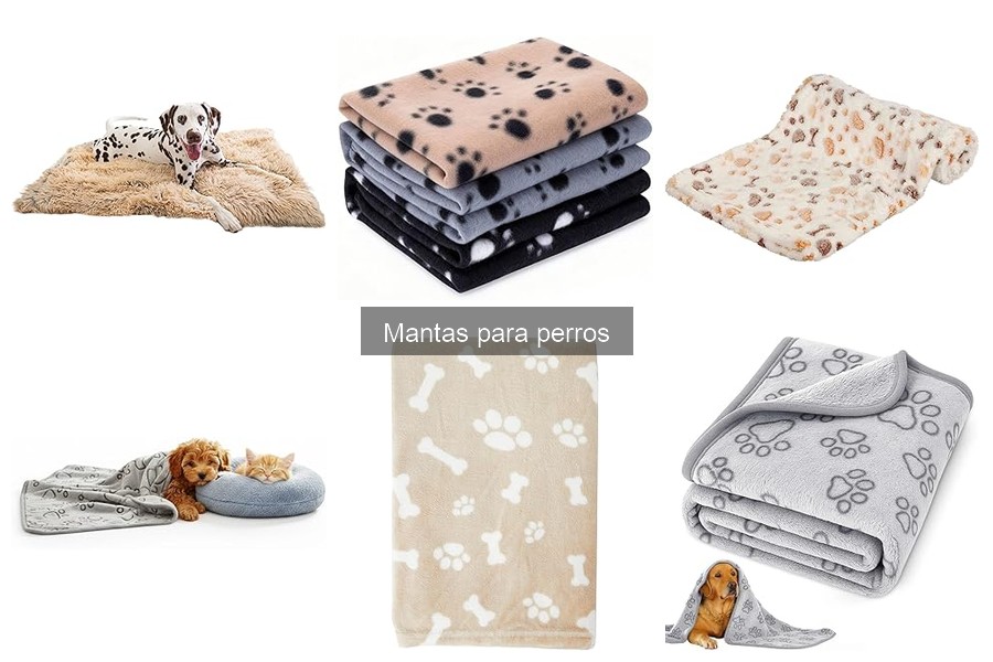 Cómo lavar y mantener la manta de tu perro fácilmente
