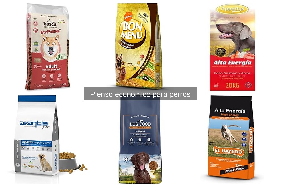 Cómo Leer Etiquetas de Pienso Económico para Perros