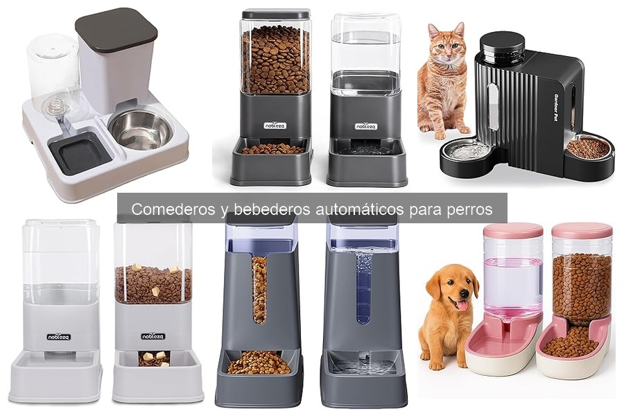 Cómo limpiar comederos automáticos para perros eficazmente
