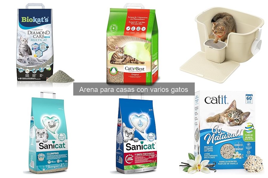 Cómo limpiar la caja de arena para varios gatos