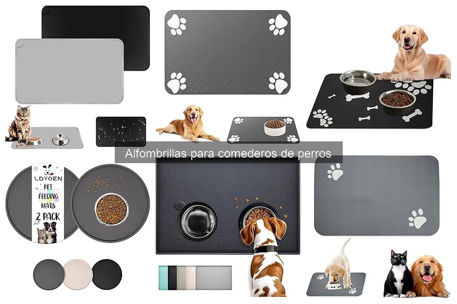 Cómo limpiar y mantener alfombrillas para comederos de perros