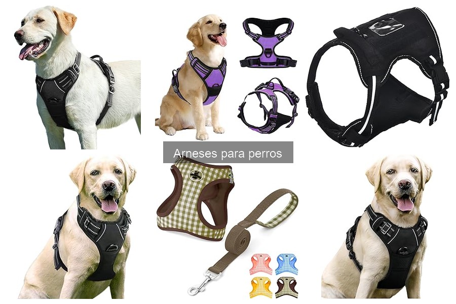 Cómo limpiar y mantener arneses para perros: Guía práctica