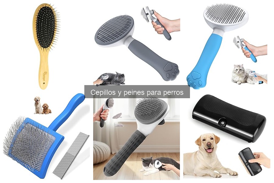 Cómo Limpiar y Mantener Cepillos para Perros: Guía Práctica
