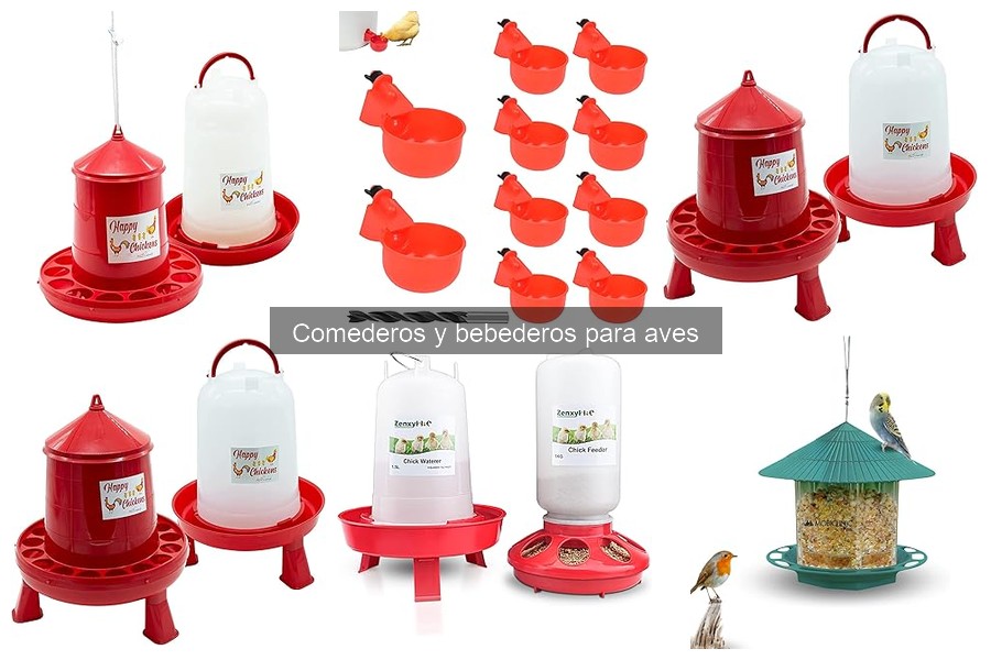 Cómo limpiar y mantener comederos y bebederos para aves