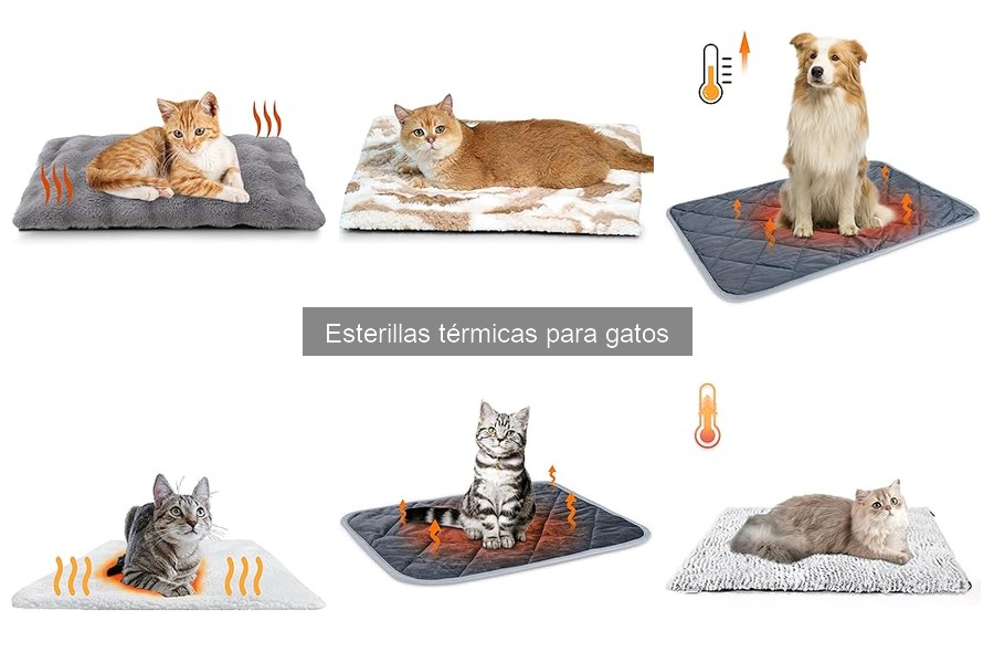 Cómo limpiar y mantener esterillas térmicas para gatos