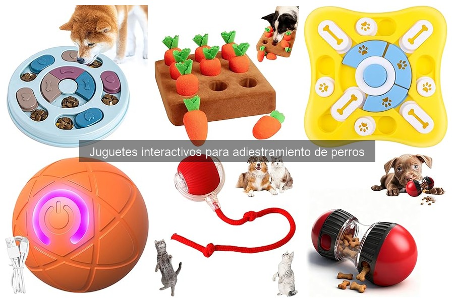 Cómo limpiar y mantener juguetes interactivos para perros