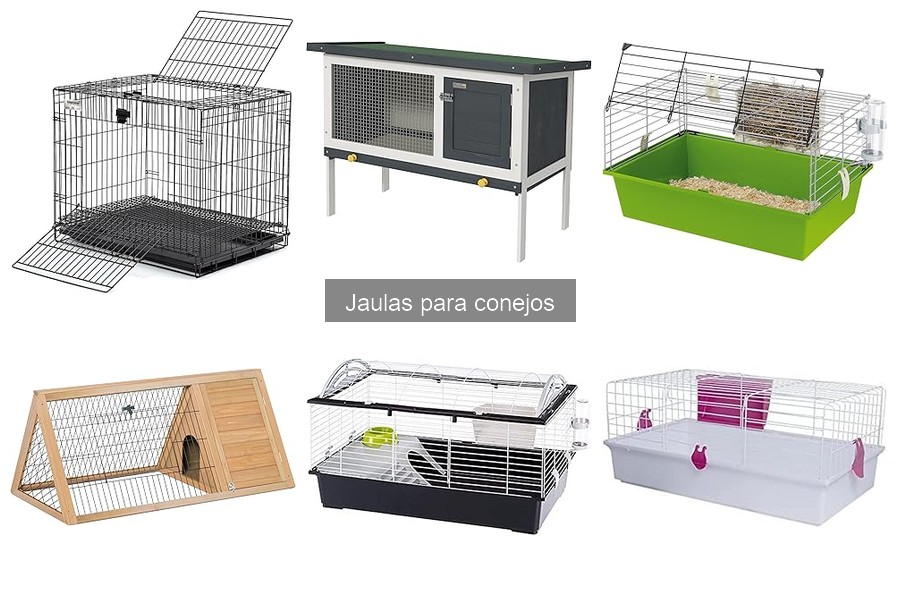 Cómo limpiar y mantener la jaula de tu conejo fácilmente